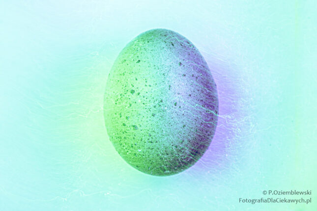 Jajko - barwne oświetlenie